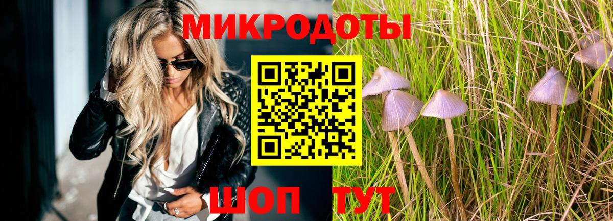 Галлюциногенные грибы прущие грибы Каменск-Шахтинский